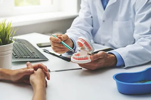 doctor holding tooth model